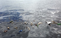 Les tāvana “résolus” contre le plastique