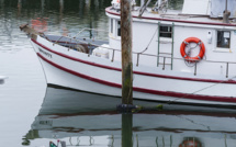 La pêche au saumon interdite pour la deuxième année consécutive en Californie