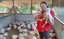 Pour Vaihere, le bonheur est dans le poulailler