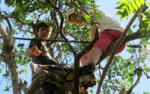 Les oranges à Tahiti : d'une manne providentielle à un fruit plus rare