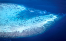 Australie: la Grande barrière de corail frappée par le pire épisode de blanchissement jamais observé