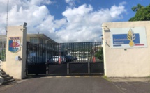 Enquête ouverte après l'attaque de chiens au mont Marau