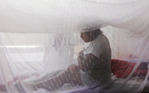Les ravages de la dengue au Pérou, infections records au Brésil et en Argentine