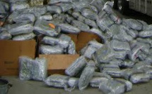 Brésil : la camionnette se renverse et deverse... plus d'une tonne de cannabis