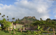 Raiatea : Il bat sa copine à mort après une beuverie au komo