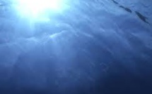 Les Pôles Mer, au service de la croissance bleue depuis dix ans