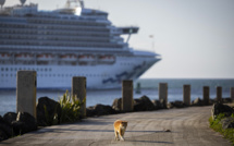 Avec 31,7 millions de passagers en 2023, la croisière a le vent en poupe