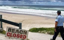 Un homme entre la vie et la mort après une attaque de requin en Australie