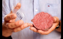 Aux Etats-Unis, l'esprit start-up touche aussi l'agroalimentaire