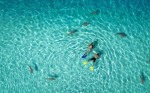 Tahiti remporte le 1er prix d'un concours de photos par drone