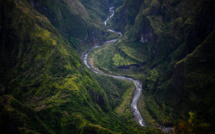 Sur l'île française de La Réunion, sauver une flore unique au monde