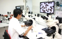 Le site ciguatera-online séduit à l'international