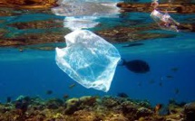 Comores: zéro sac plastique à partir de 2016 dans la capitale