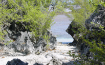 A la découverte des flots tumultueux de Tikehau avec Tahiti Heritage