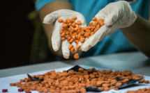 La France étend les pouvoirs des douaniers contre les drogues de synthèse