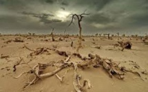 Paris accueille mardi un "Sommet des consciences pour le climat"