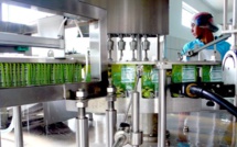 Teipora noni s'attaque au marché américain