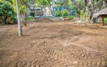Gros jardinage à l'Assemblée, pendant l'intersession