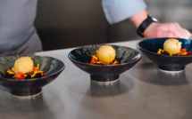 En Finlande, les "agriculteurs du futur" créent une protéine alimentaire avec de l'air