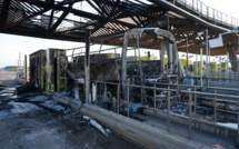 Coupe de France: rixe entre fans de l'OL et du PSG, un bus calciné, des blessés légers