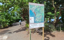 Fourmi de feu : une peste pour les JO