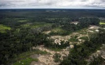 L'Amazonie grignotée par la ruée vers l'or clandestine