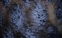 Terres rares: un groupe minier dit avoir découvert en Norvège le plus grand gisement d'Europe