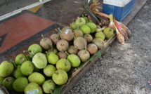 Valorisation du 'uru : Rencontre entre Tahiti et Wallis et Futuna