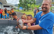 En immersion à l’Ifremer de Vairao