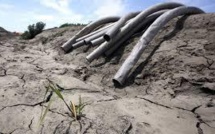 USA: la consommation d'eau en Californie réduite au-delà des 25% visés