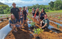 Relancer la filière du café local