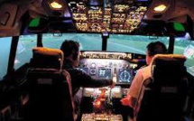 Armé d'une hache, un pilote suédois délivre un passager ivre des toilettes