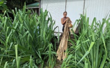 Nana, l’artisanat de Rimatara à Tautira