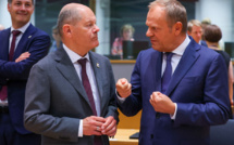 Législatives en France : les pays européens très divisés dans leurs réactions