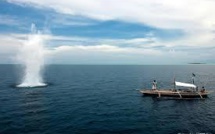 Les dents de la mer: l'insatiable appétit des Hongkongais menace les océans