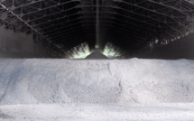 Le talc classé comme probablement cancérogène par l'OMS