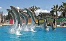 Marineland, plus grand parc marin d'Europe, confronté aux "anti-delphinariums"