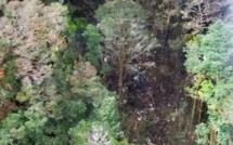 Indonésie: le mauvais temps empêche les secours d'atteindre le site du crash de l'avion