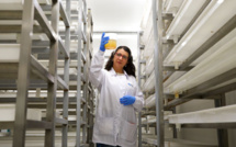 En Colombie, une usine à moustique pour lutter contre la dengue et la désinformation