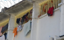 Nouveau record de surpopulation à Nuutania