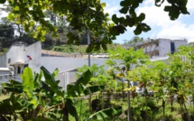 Un an ferme pour avoir frappé un gardien de prison