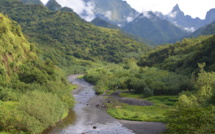 Un projet de complexe écotouristique dans la haute vallée de Papenoo