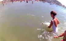 Espagne: un défenseur des animaux frappé à coups de canard