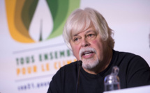 Chasse à la baleine: Paul Watson, recherché par le Japon, arrêté au Groenland