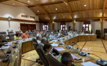 “C'est le communisme !”, l'économie libérale en danger au Cesec