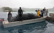 "Poe Rava, histoire d’une perle", un documentaire inédit ce soir sur Polynésie 1ère