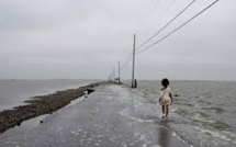 Dix ans après Katrina, une île de Louisiane disparaît, avalée par l'érosion