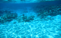 Une expertise collégiale sur les ressources minérales océaniques