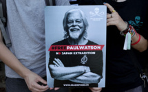 Paul Watson, l'éco-pirate qui fait des vagues