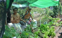 A Pirae : bientôt des faaapu partagés à Tenaho et Fautaua Val